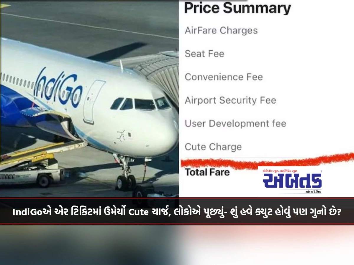 Indigo Adds Cute Charge To Air Tickets, People Ask - Is It A Crime To Be Cute Now?