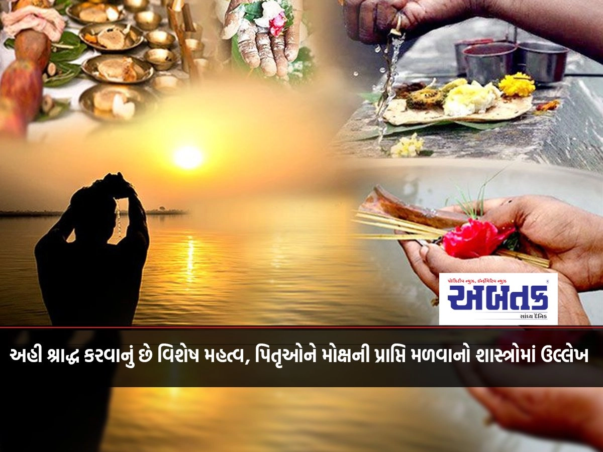 સૌરાષ્ટ્રમાં સહકારી ક્ષેત્રના વિકાસથી ખેડૂત, ખેતી, મહિલા અને ગામડાઓ સક્ષમ બન્યા : સીએમ