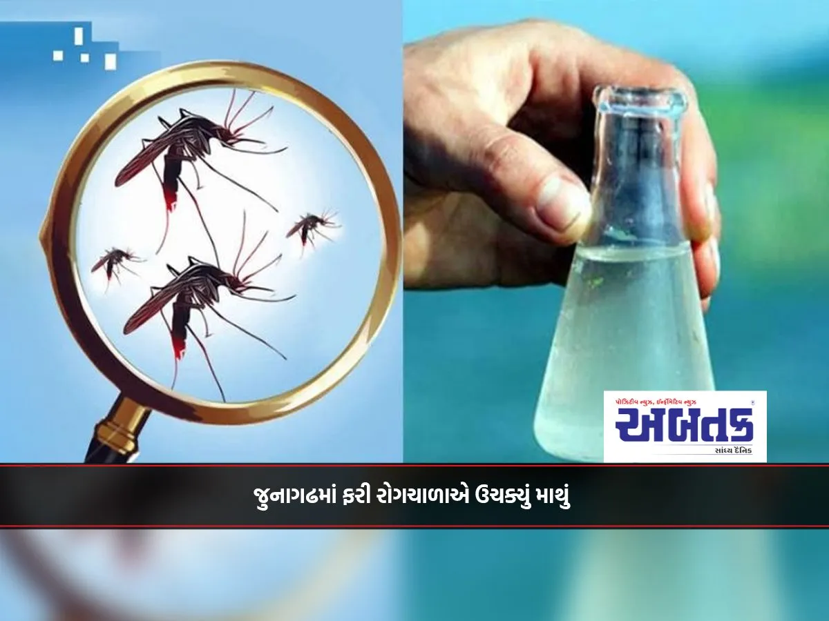 Epidemic Again Reared Its Head In Junagadh