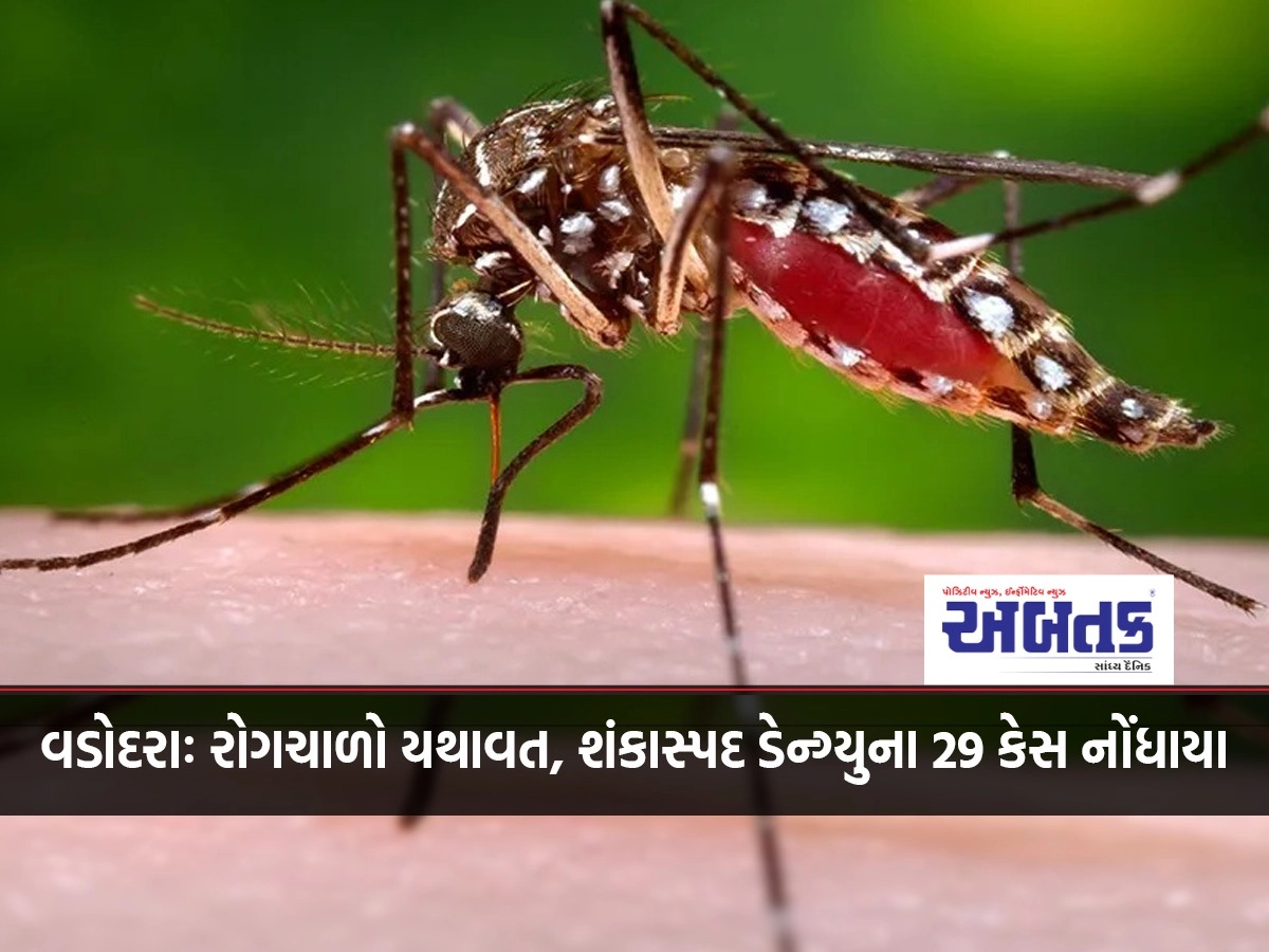 Vadodara: Epidemic continues, 29 cases of suspected dengue reported