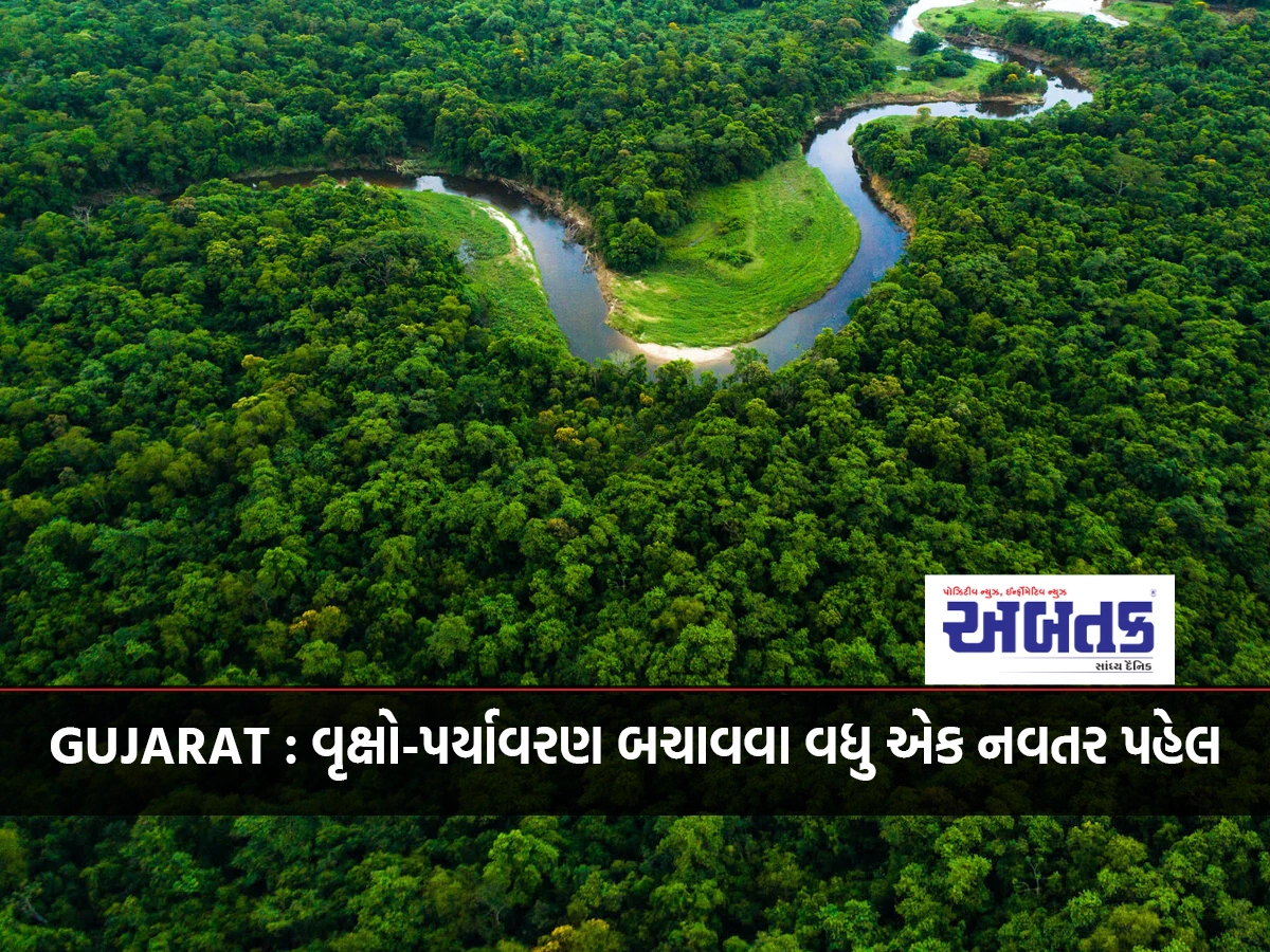 GUJARAT : Trees-another innovative initiative to save the environment