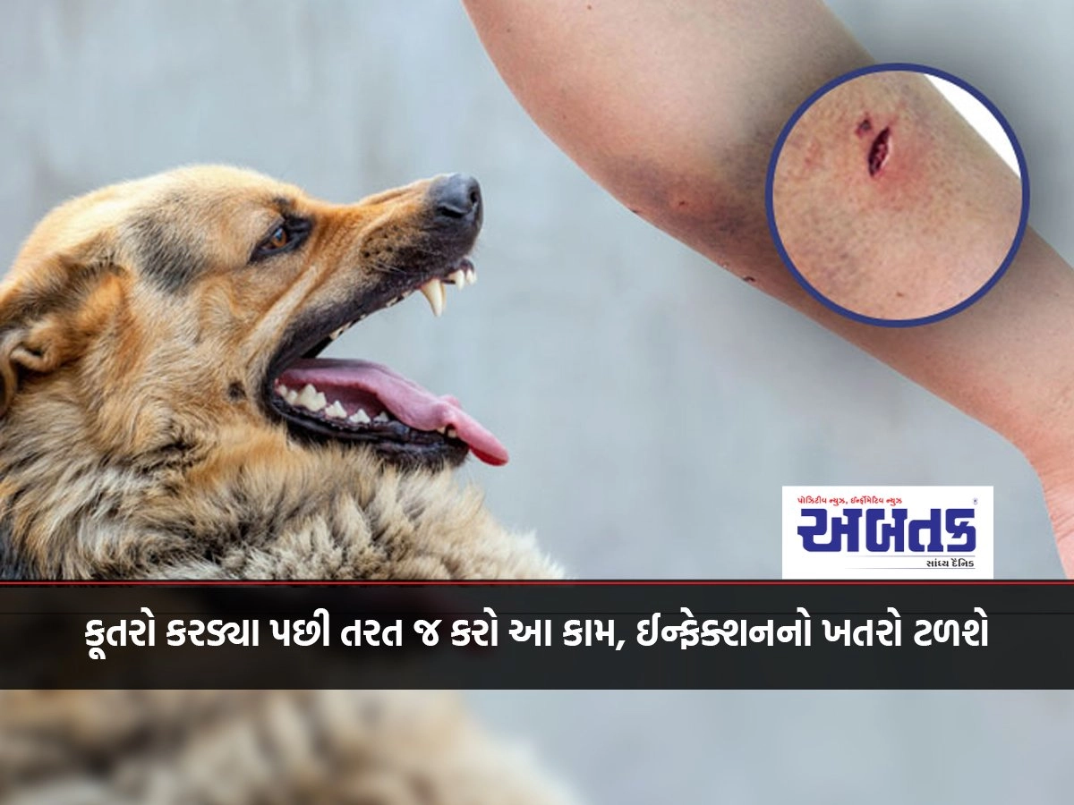 Do this immediately after the dog bite, to avoid the risk of infection