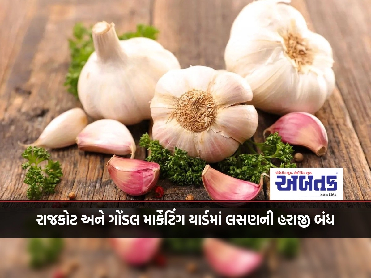 Auction of garlic in Rajkot and Gondal marketing yard closed