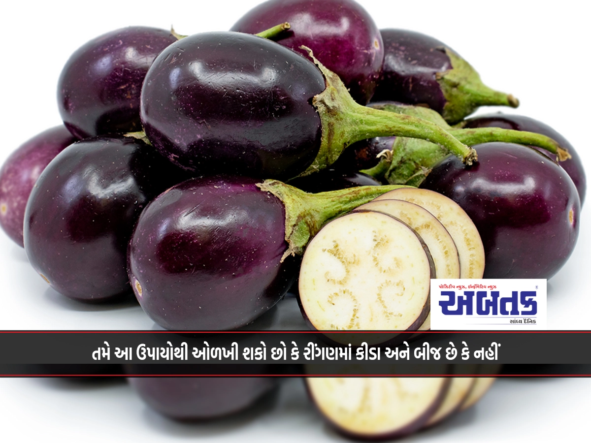 You can identify if brinjal has worms and seeds or not by these methods