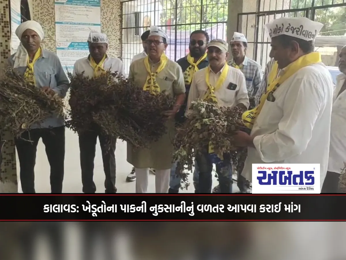 Kalavad: Demand For Compensation Of Farmers' Crop Damage