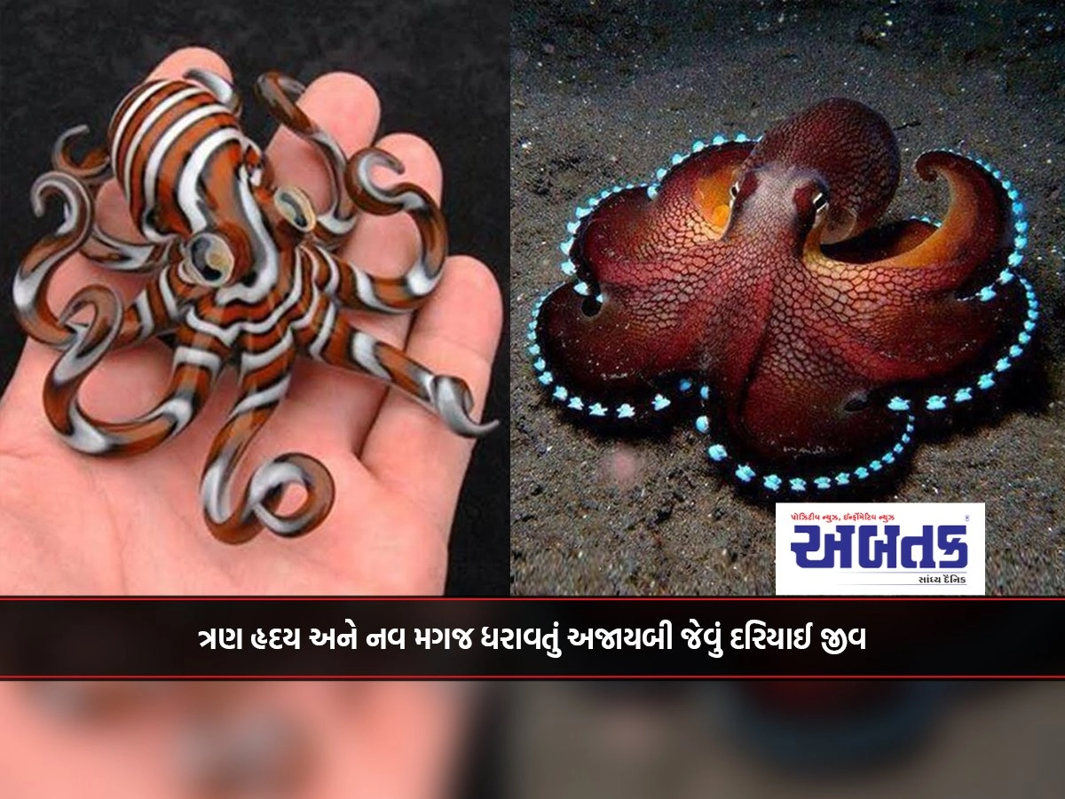 World Octopus Day: A wondrous sea creature with three hearts and nine brains: the octopus