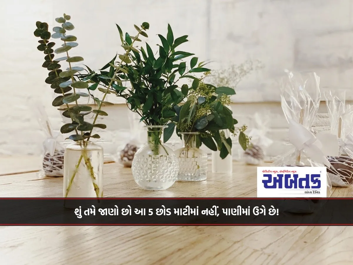 Did You Know These 5 Plants Grow In Water, Not Soil!