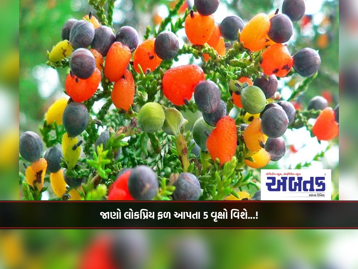 Know about 5 popular fruit bearing trees...!