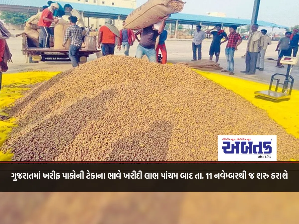 Kharif Crops In Gujarat Purchase Benefit At Support Price After The Fifth Date. It Will Start From November 11
