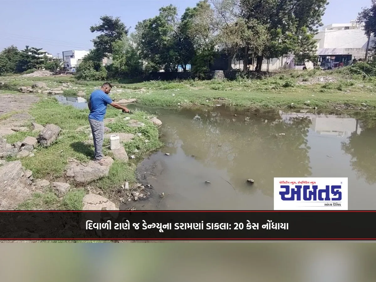 દિવાળી ટાણે જ ડેન્ગ્યૂના ડરામણાં ડાકલા: 20 કેસ નોંધાયા