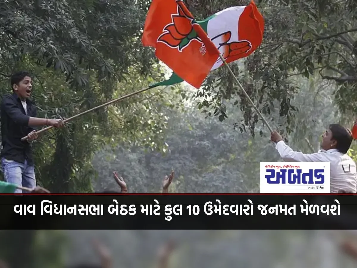 A Total Of 10 Candidates Will Contest For The Vav Assembly Seat