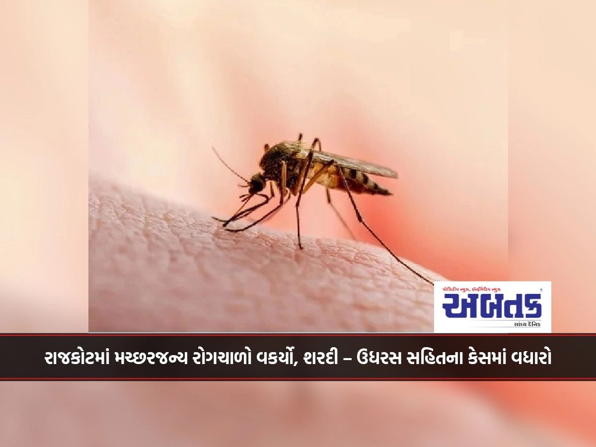 In Rajkot, mosquito-borne disease has increased, cases including cold and cough have increased