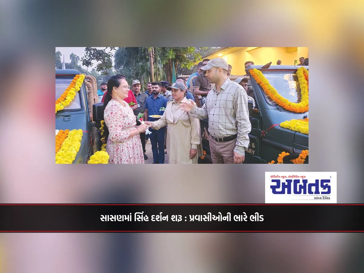 સાસણમાં સિંહ દર્શન શરૂ : પ્રવાસીઓની ભારે ભીડ