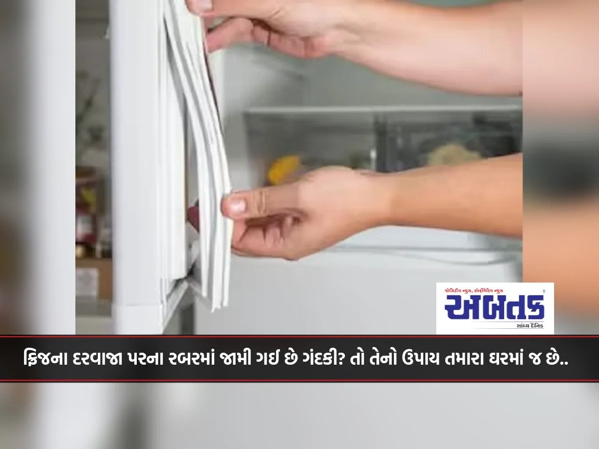 Dirt Frozen Into The Rubber On The Fridge Door? So The Solution Is In Your Home.
