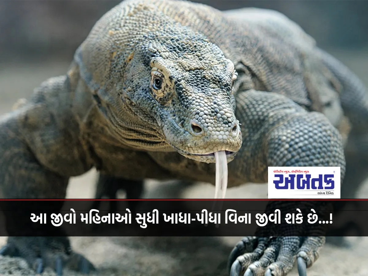 To Know / These Creatures Can Live For Months Without Food Or Drink