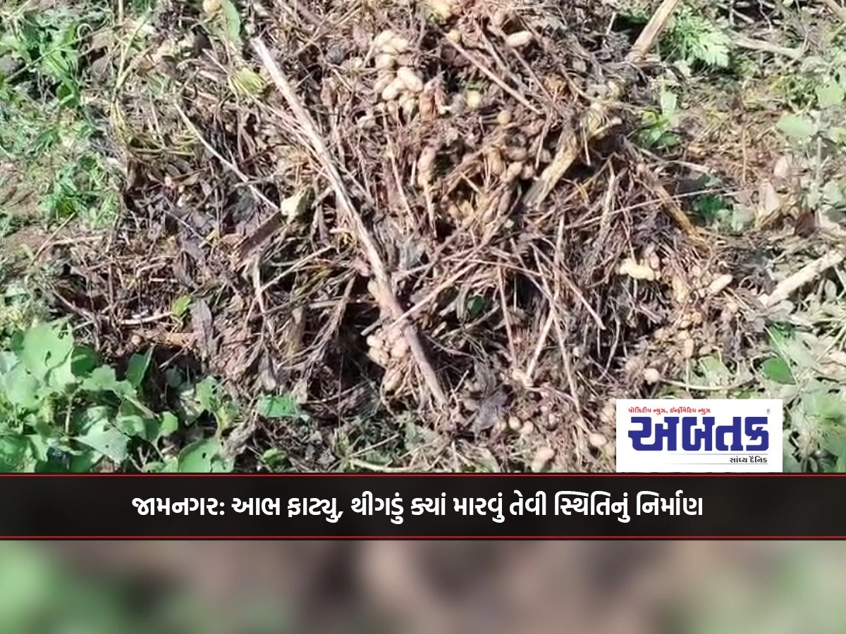 JAMNAGAR: Aura burst, creating a situation where you can kill the frost