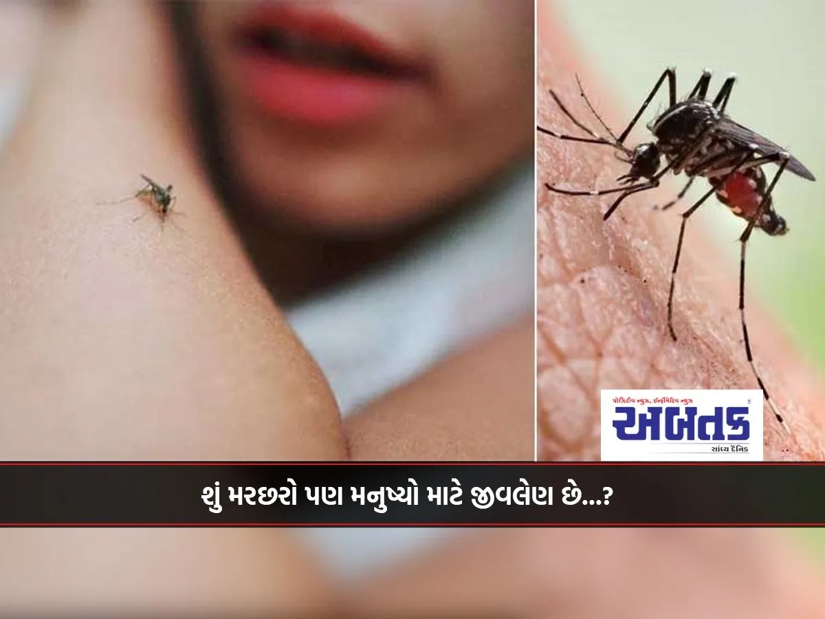 Are Scorpions Also Deadly To Humans...?