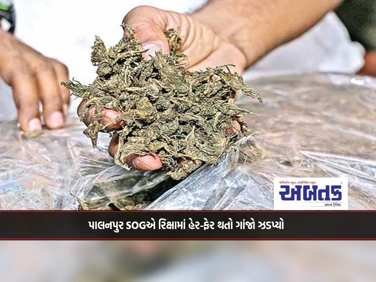 Palanpur Sog Seized Marijuana Being Trafficked In A Rickshaw
