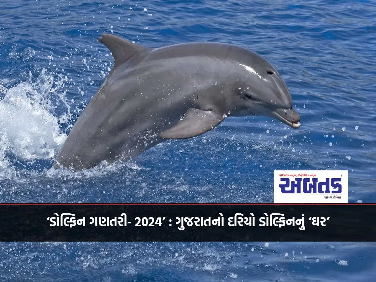 'Dolphin Count- 2024': Gujarat'S Sea Is The 'Home' Of Dolphins
