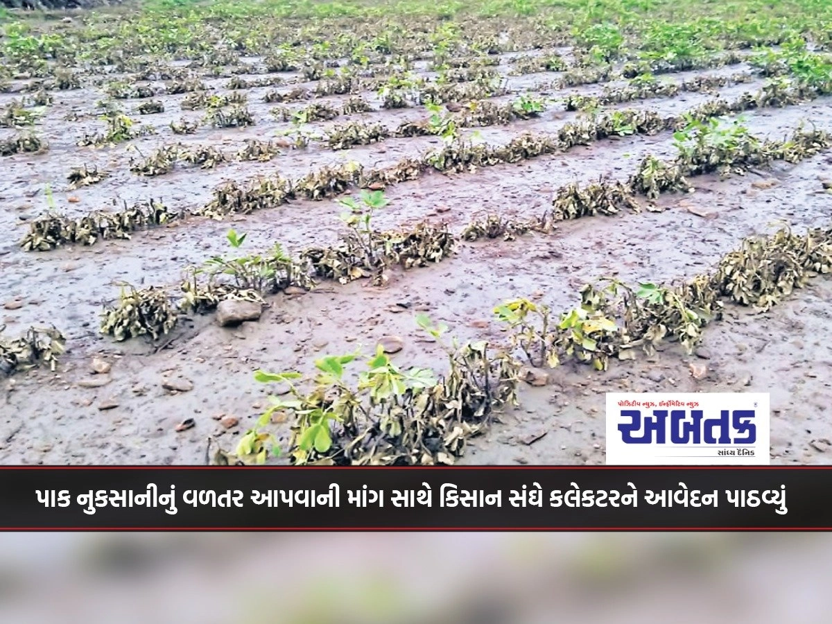 Amreli: The Kisan Sangh has sent a petition to the Collector demanding compensation for crop damage