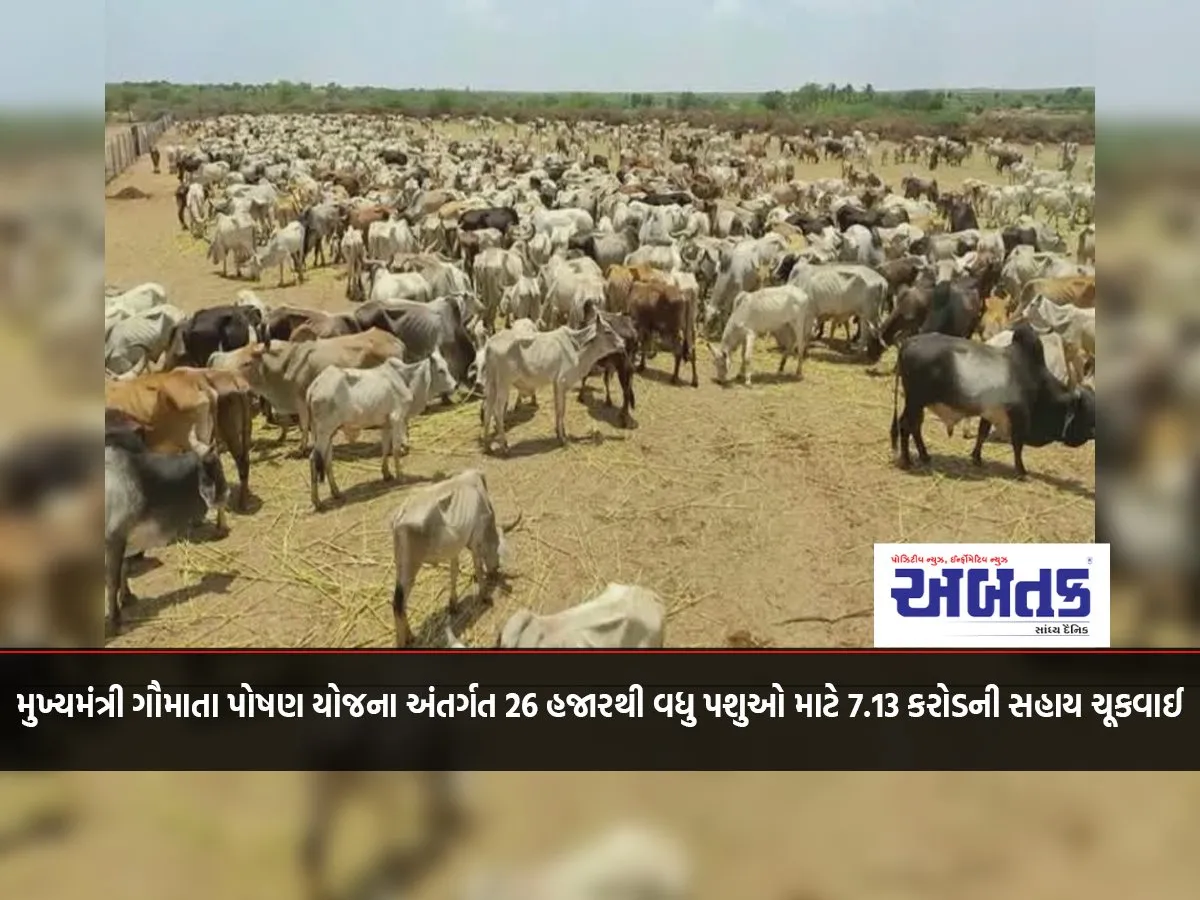 7.13 Crore Assistance Was Paid For More Than 26 Thousand Cattle Under Chief Minister Gaumata Nutrition Yojana