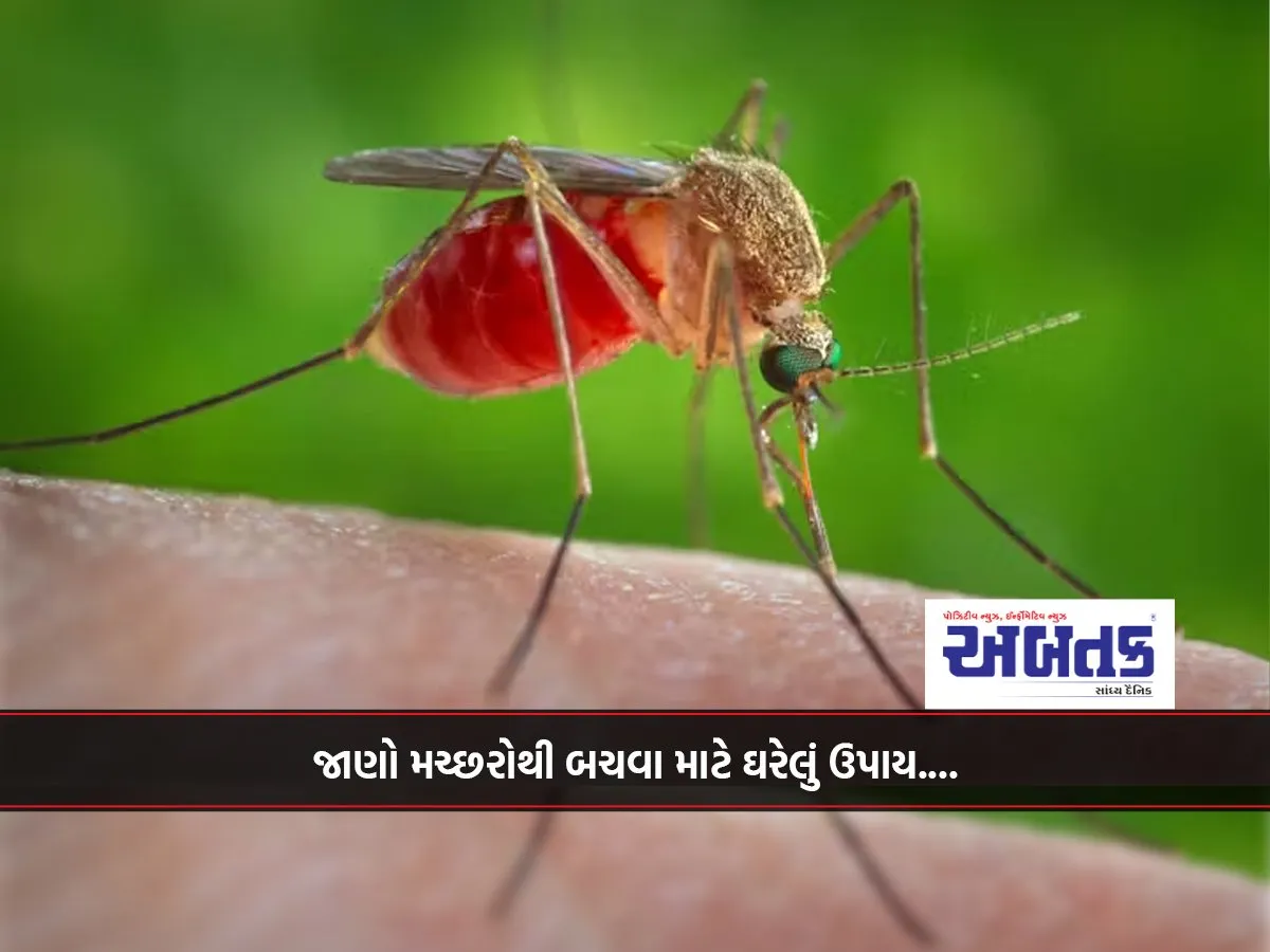 Know Home Remedies To Avoid Mosquitoes....