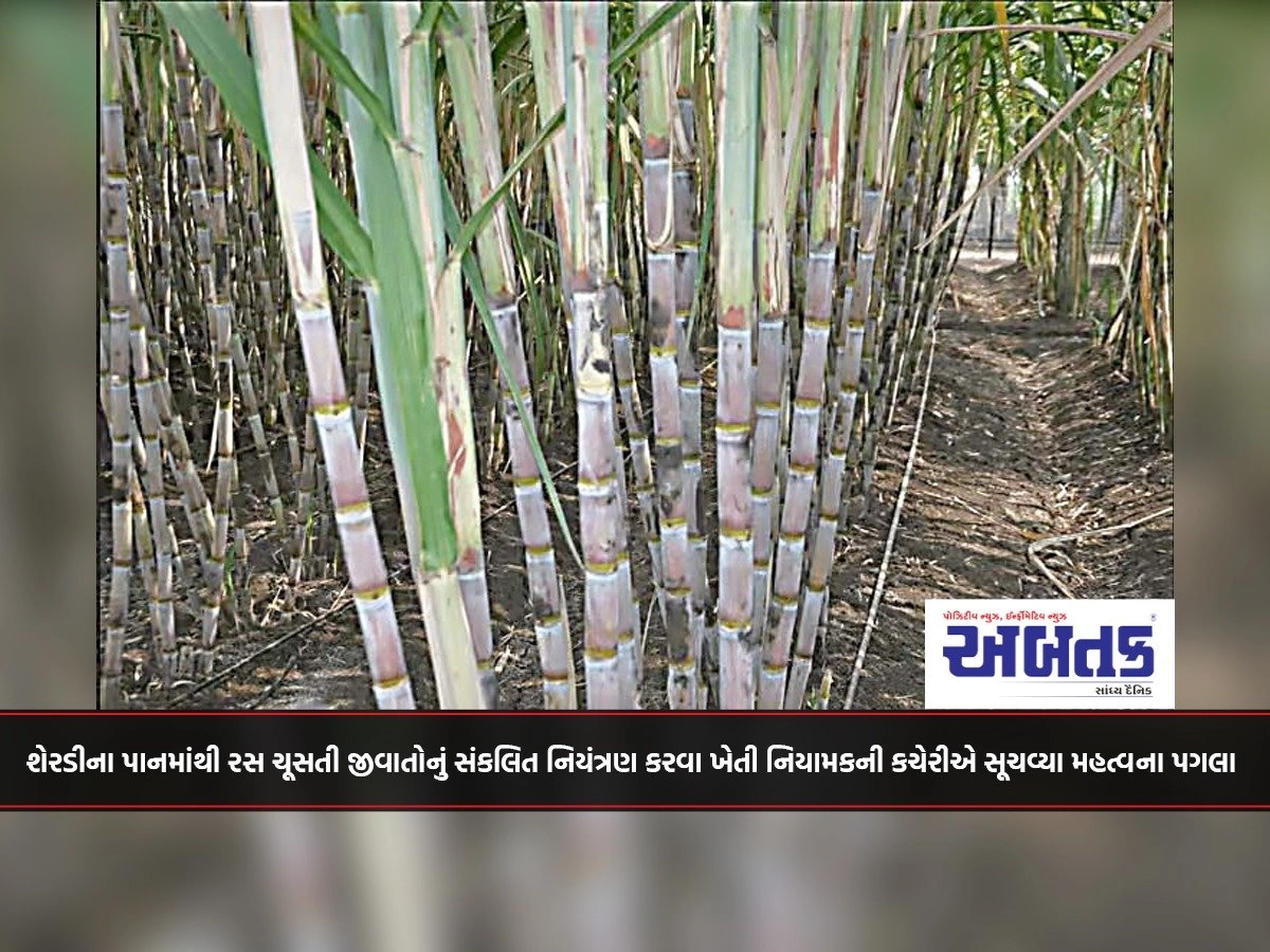 Important measures suggested by the Office of the Director of Agriculture for integrated control of sugarcane leaf-sucking pests