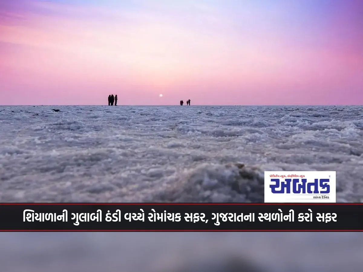 Travel Tips: Exciting Trip In The Midst Of Pink Cold Winter, Do A Trip To The Places Of Gujarat
