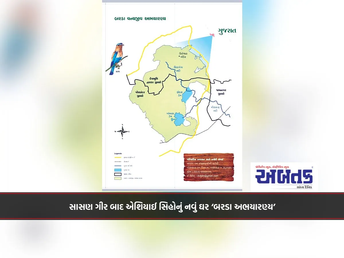 સાસણ ગીર બાદ એશિયાઈ સિંંહોનું નવું ઘર ‘બરડા અભયારણ્ય’