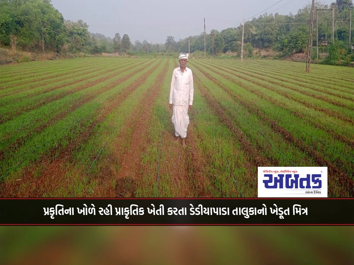 A farmer friend of Dediyapada taluka doing natural farming in the lap of nature