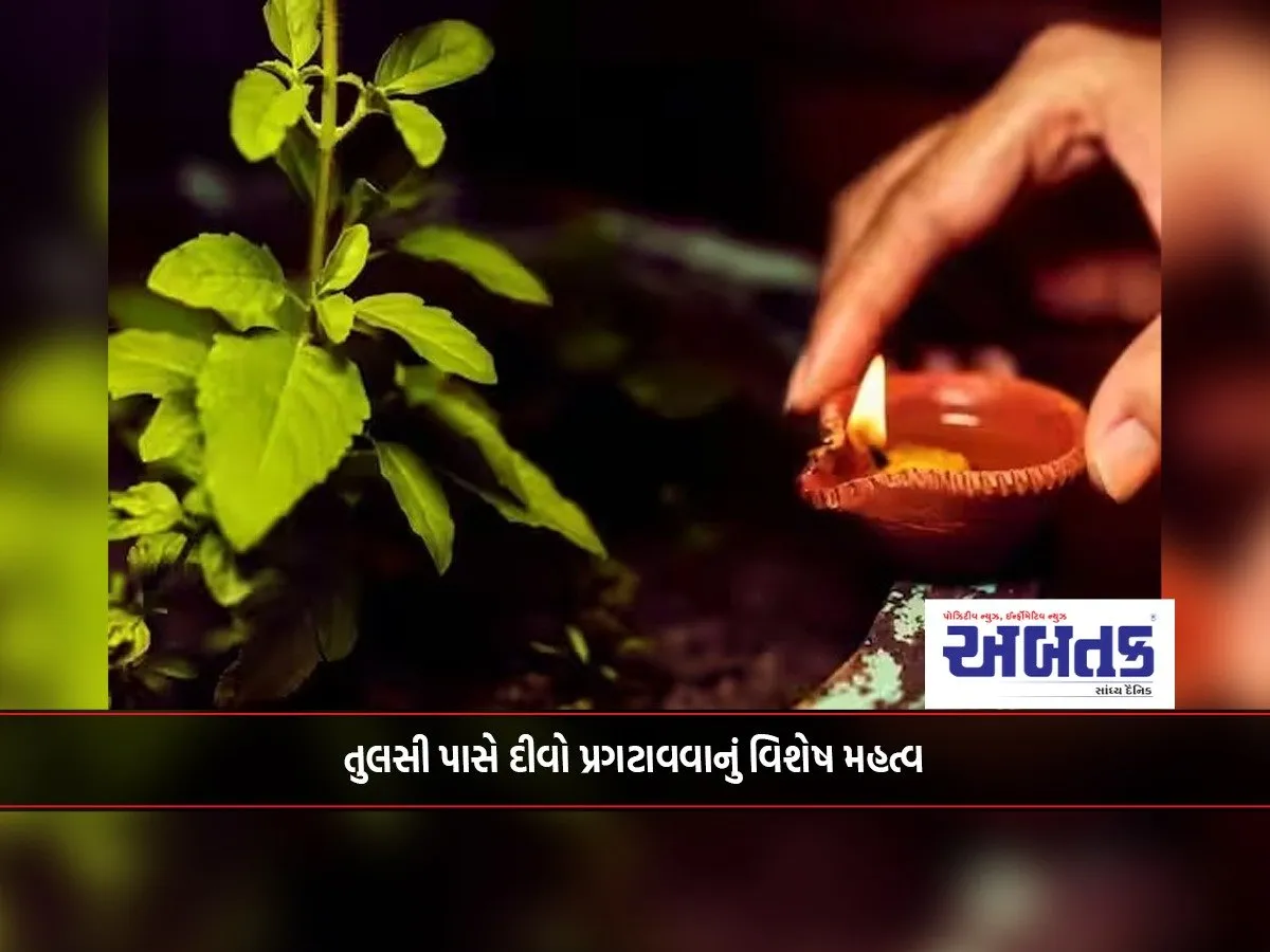 Special Significance Of Lighting A Lamp Near Tulsi