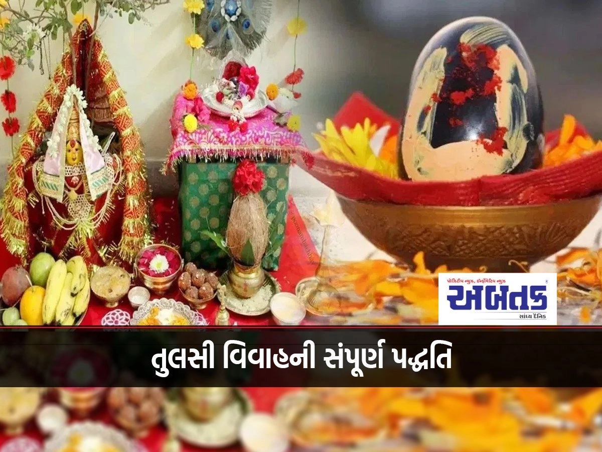 Complete method of tulsi vivah, you can do tulsi vivah at home with this simple method