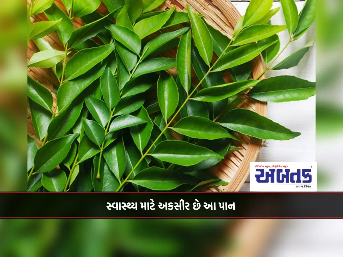 This Leaf Is An Elixir For Health