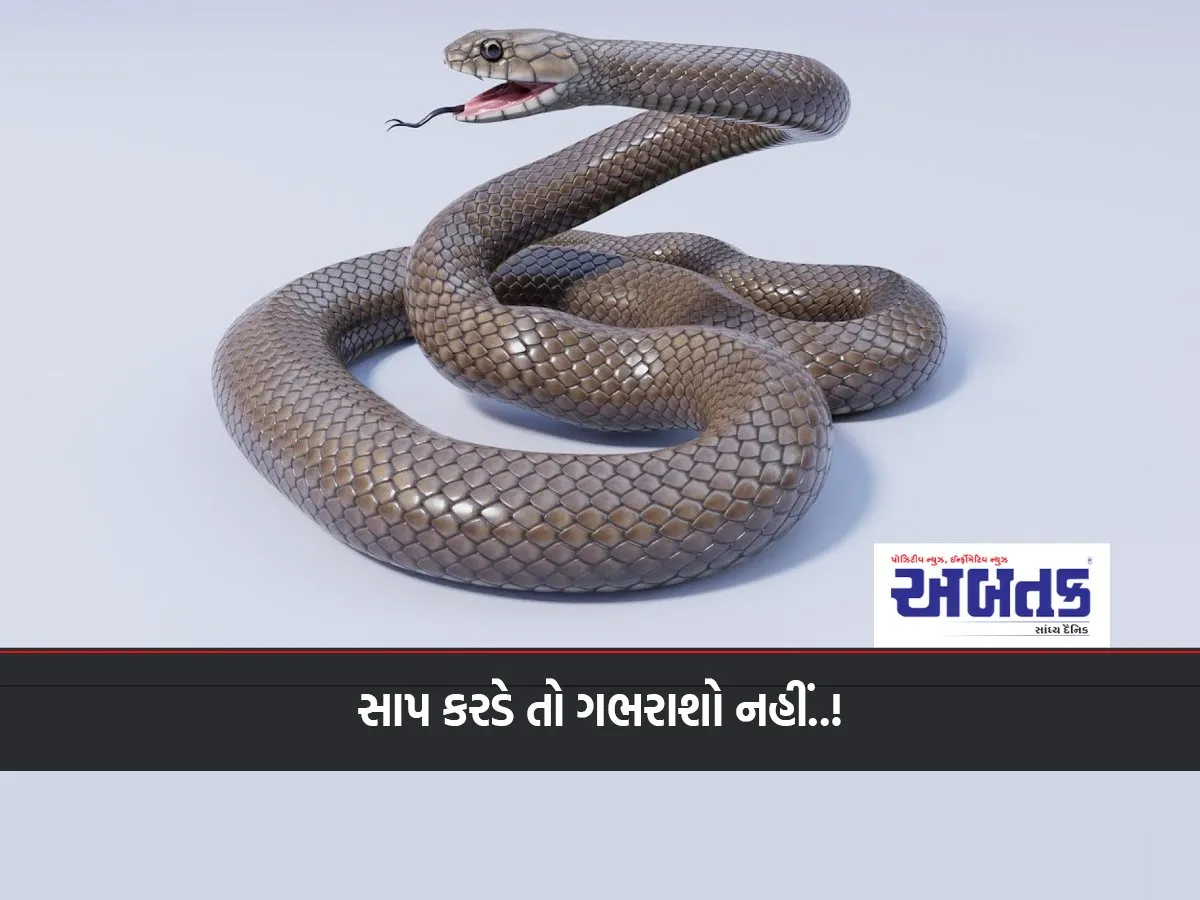 Don'T Panic If You Get Bitten By A Snake! But Don'T Make These 2 Mistakes, Otherwise It Can Happen...