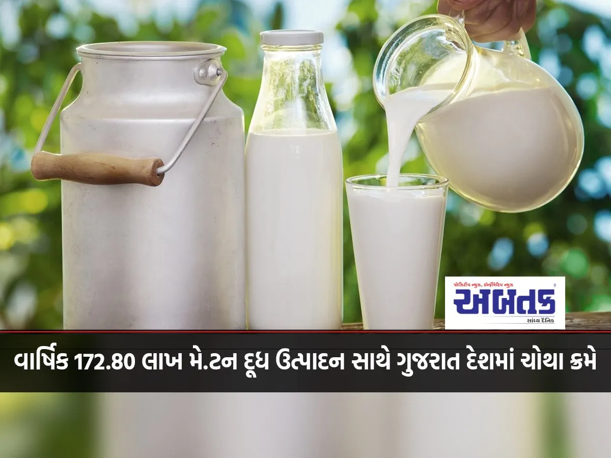 Gujarat Ranks Fourth In The Country With An Annual Milk Production Of 172.80 Lakh Metric Tons