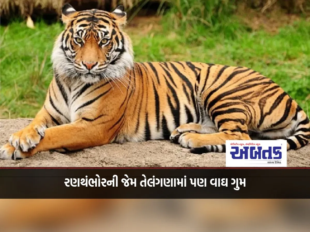 Like Ranthambore, Tigers Are Also Missing In Telangana