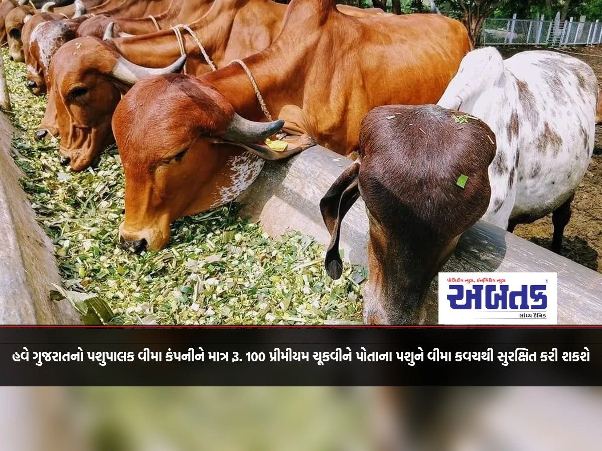 Now the cattle breeder of Gujarat pays the insurance company only Rs. 100 can protect their animal with insurance cover by paying premium