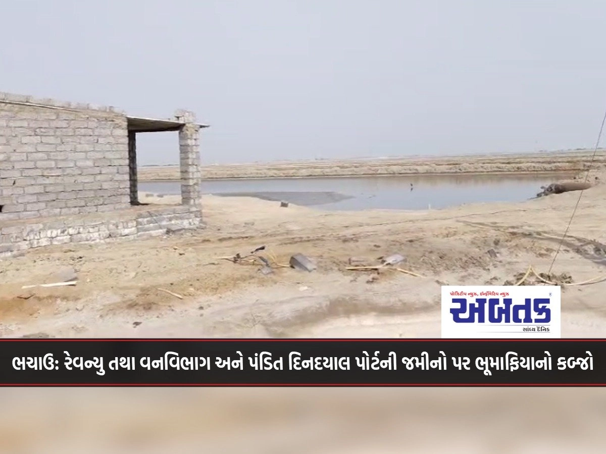 Bhachau: Revenue and Forest Department and Pandit Dindayal Port lands occupied by land mafia