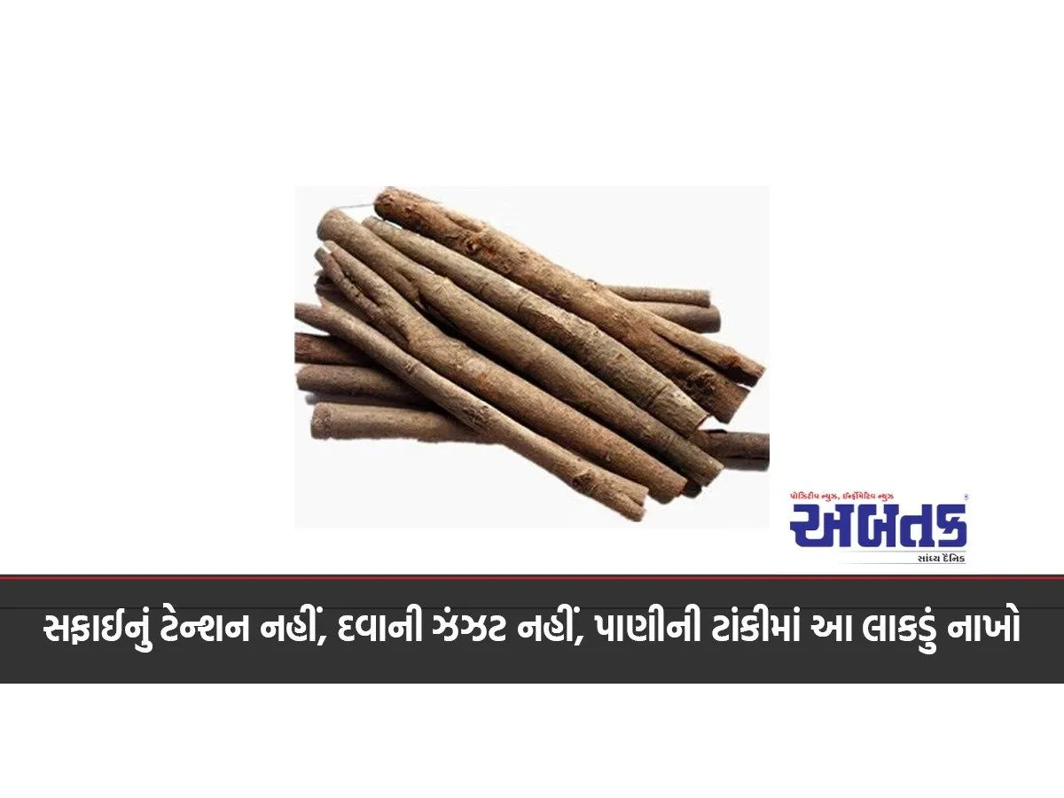 No-Tension-Of-Cleaning-No-Hassle-Of-Medicine-Put-This-Wood-In-The-Water-Tank-The-Water-Will-Remain-Pure