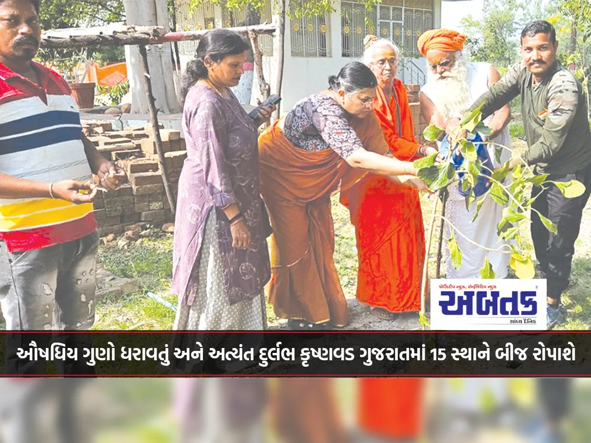 ઔષધિય ગુણો ધરાવતું અને અત્યંત દુર્લભ કૃષ્ણવડ ગુજરાતમાં 15 સ્થાને બીજ રોપાશે