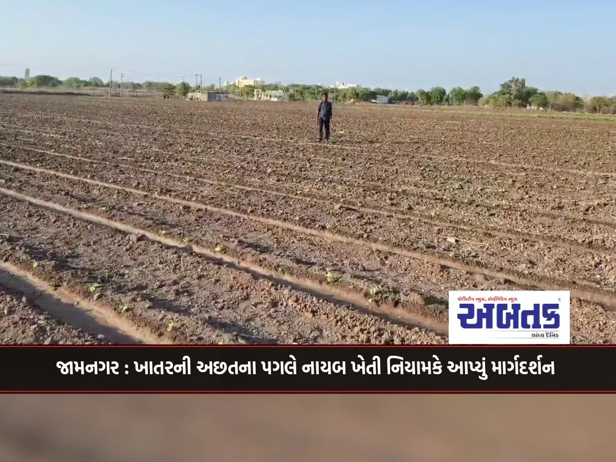 Jamnagar: Deputy Director Of Agriculture Gave Guidance In The Wake Of Fertilizer Shortage