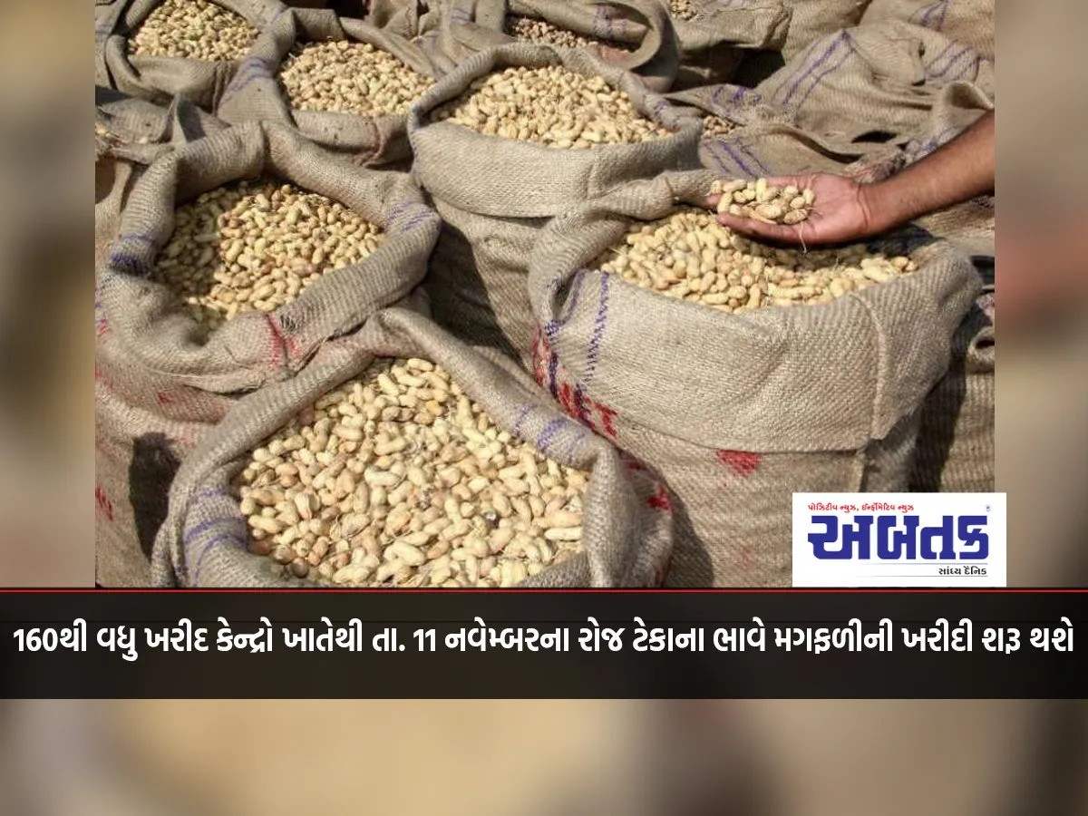 From More Than 160 Buying Centers On November 11, Purchase Of Groundnut At Support Price Will Begin