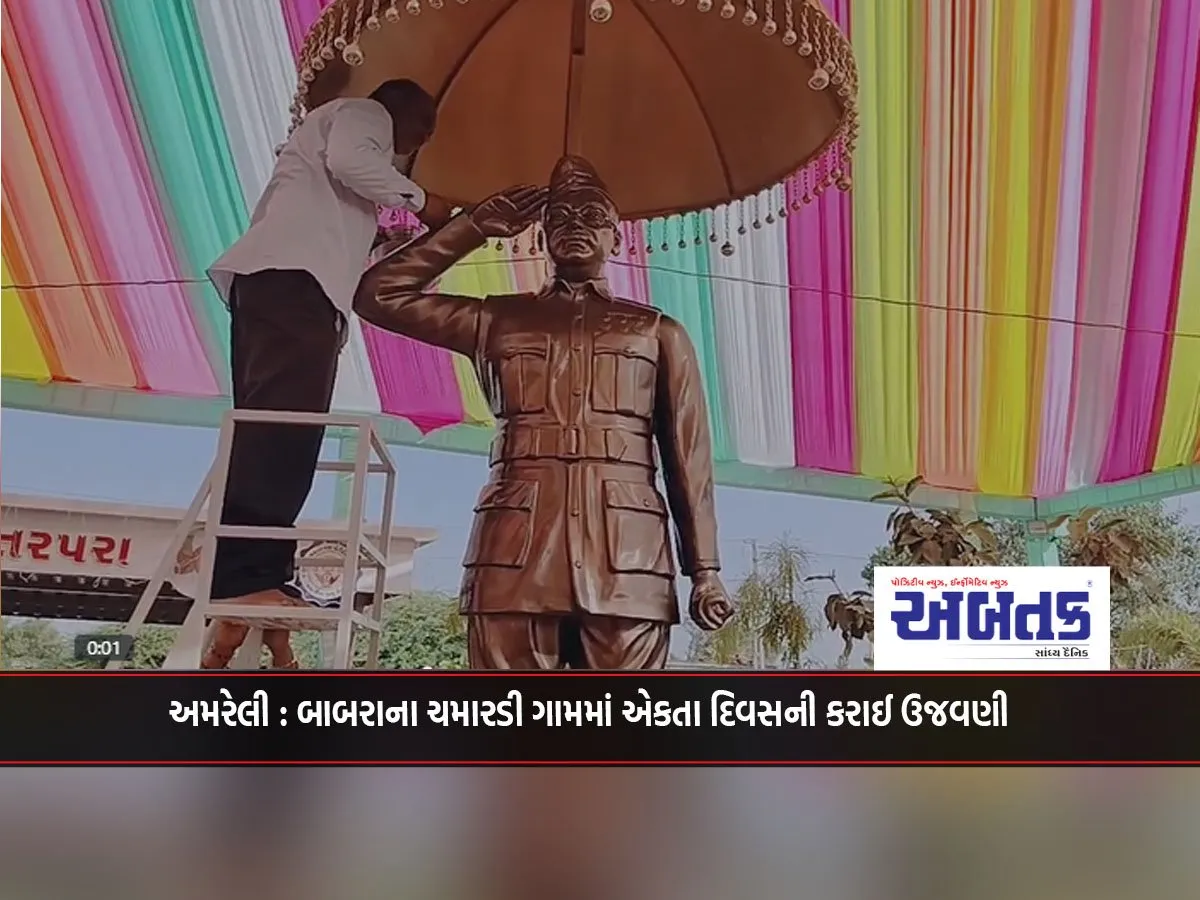 Amreli: Celebration Of Unity Day In Chamardi Village Of Babar