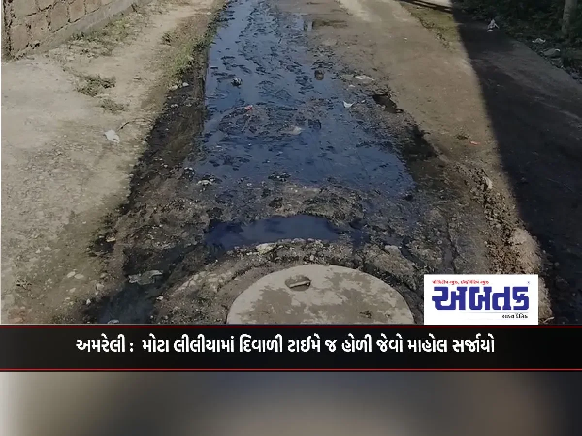 Amreli: A Holi-Like Atmosphere Was Created In Mota Liliya At The Time Of Diwali