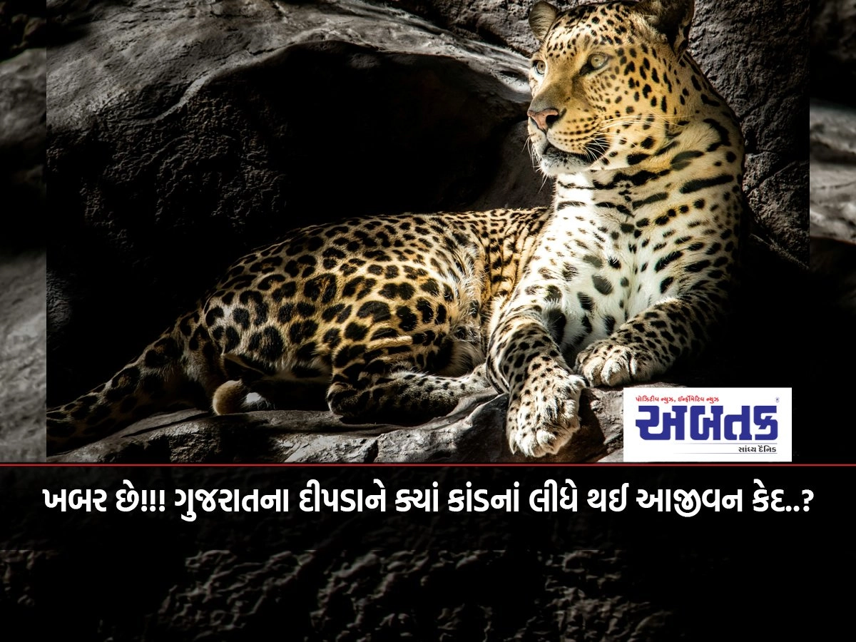 know!!! Where did the leopard of Gujarat get life imprisonment due to the wrist..?