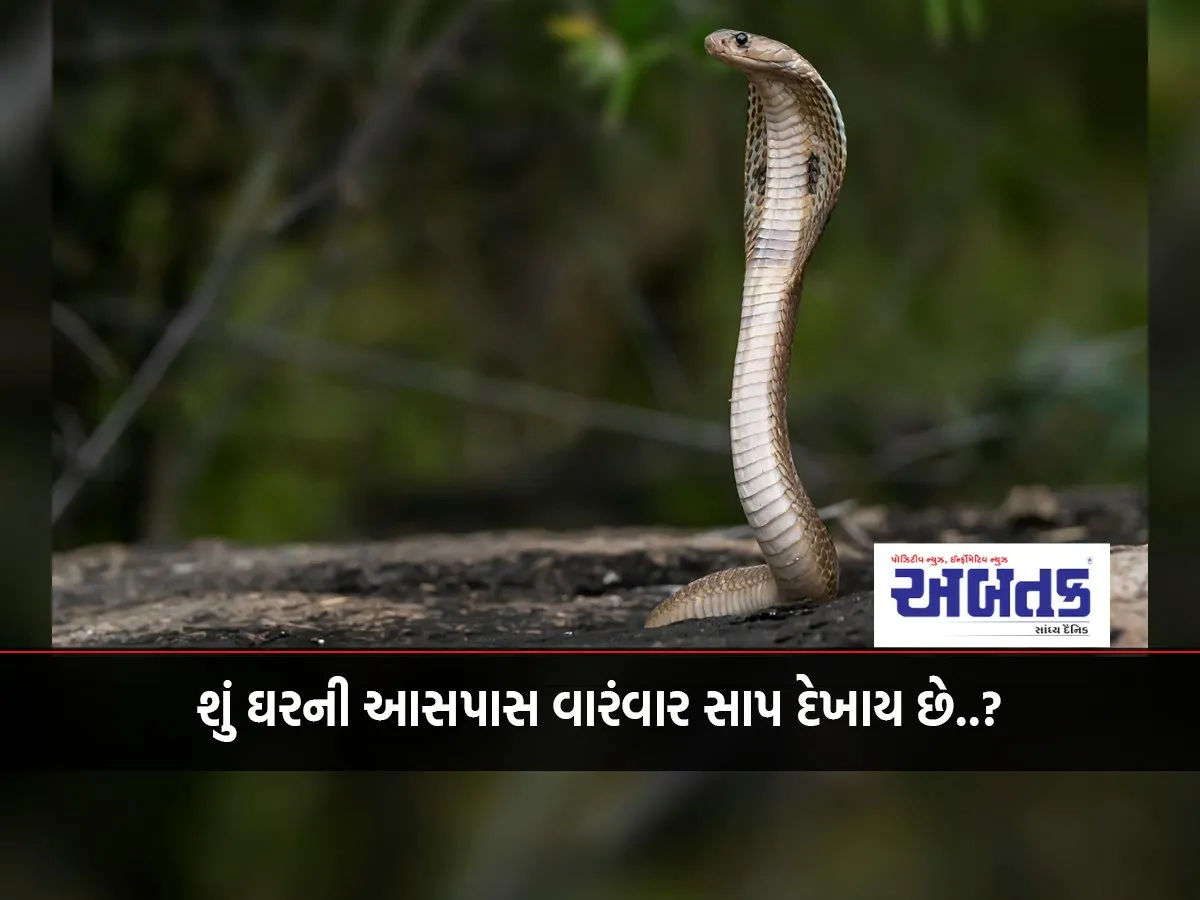 Are Snakes Often Seen Around The House..?