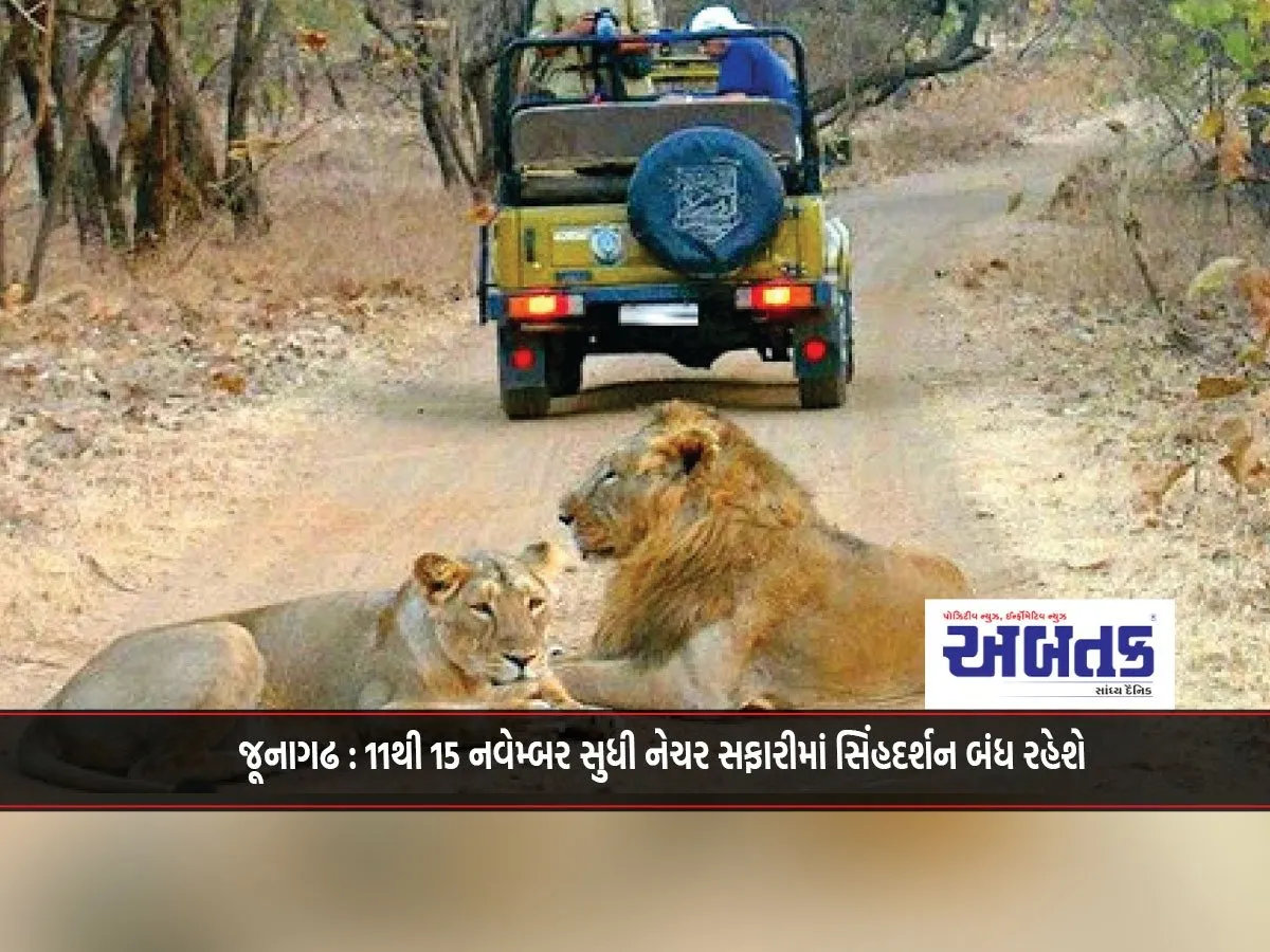Junagadh: Singhdarshan In Nature Safari Will Be Closed From November 11 To 15