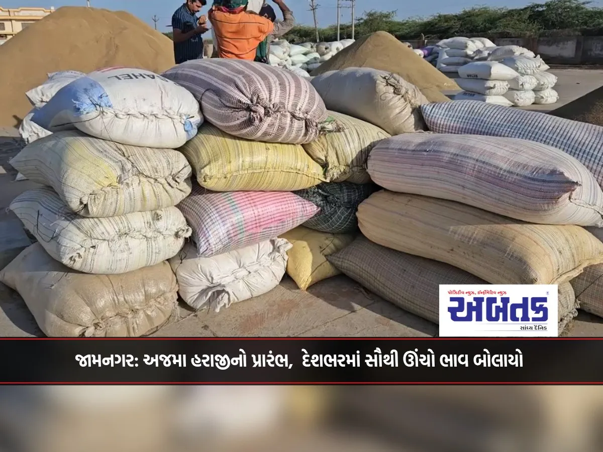 Jamnagar: Ajma Auction Begins, Highest Price Quoted Across The Country