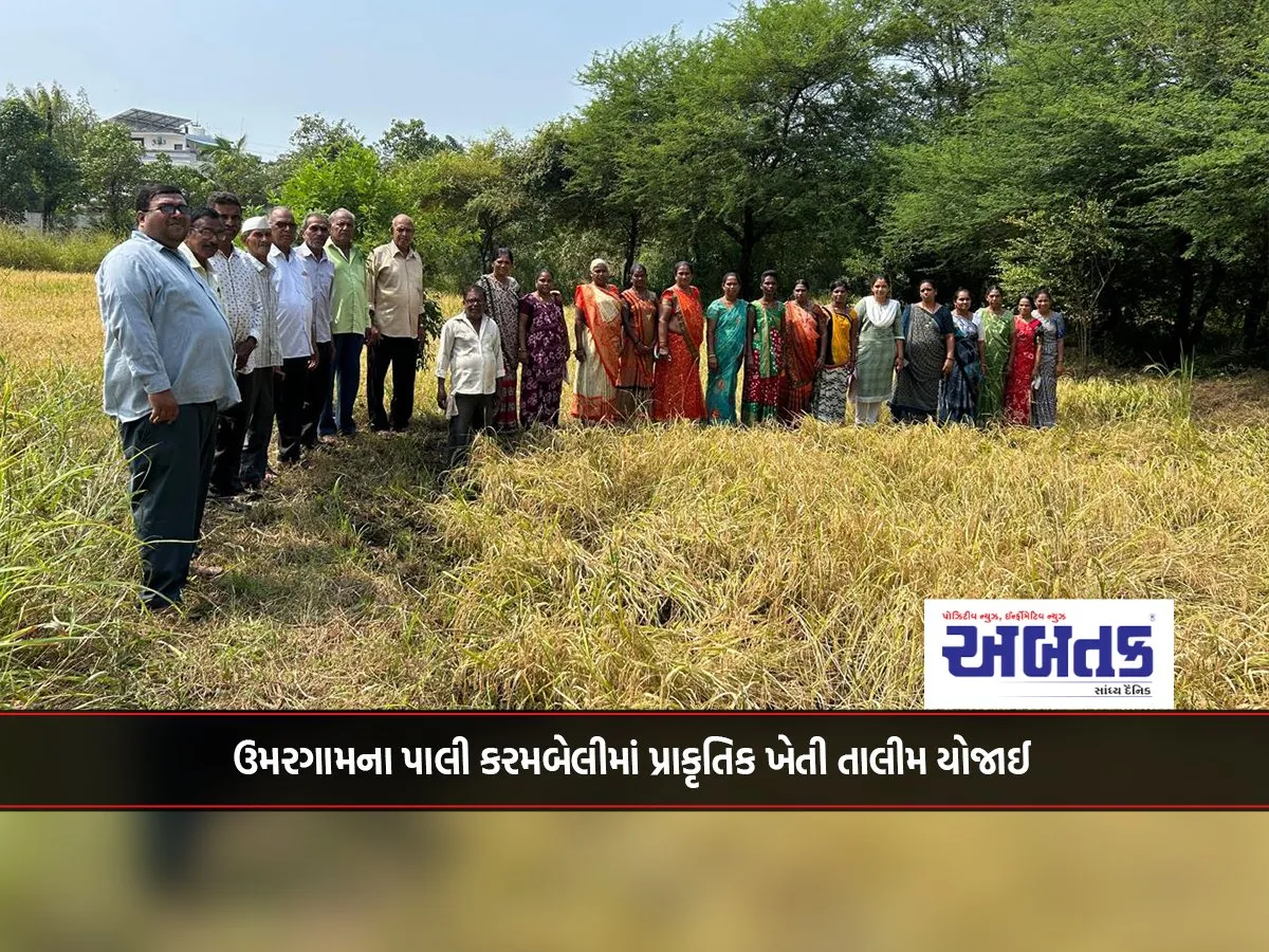 Natural Farming Training Was Held At Pali Karambeli In Umargam