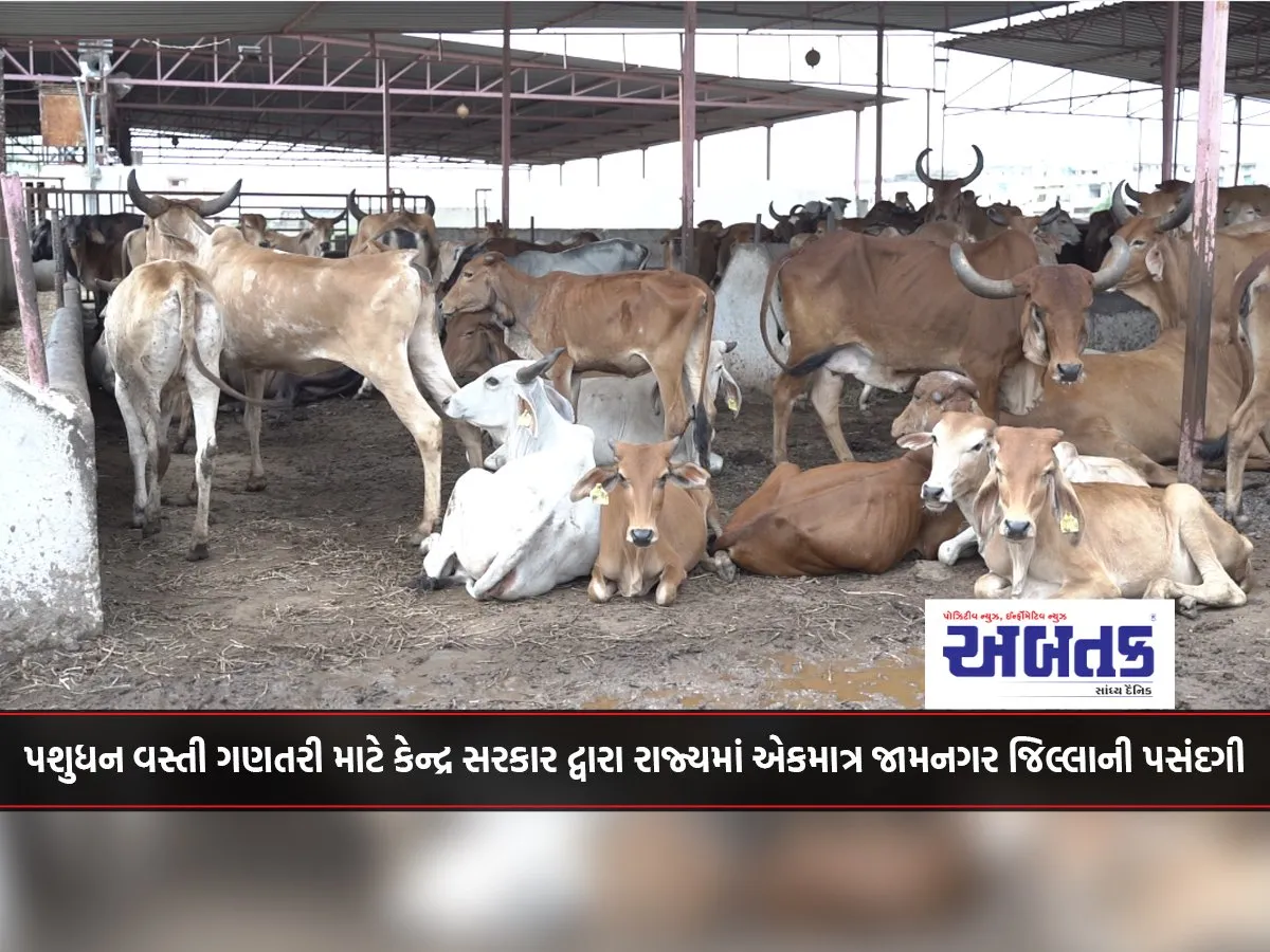 Selection Of Jamnagar District As The Only One In The State By Central Government For Livestock Census